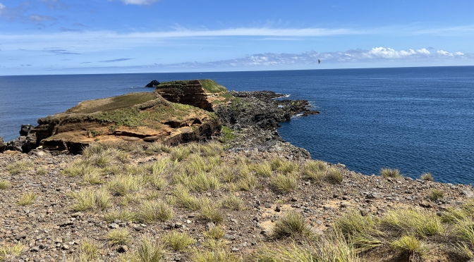 Excursion Costa: Trek sur l’île de Terceira aux Açores